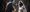 267_TBOJJ_PAMELA-RAITH-PHOTOGRAPHY-aspect-ratio-1650-896