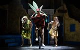 (L-R) Al Dunn, Matt Freeman, Nick Bunt in Oh Zeus! (Le Navet Bete) - photo credit Mark Senior Photography