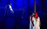 Tristan & Yseult – Photo by Steve Tanner