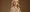 55562434684_b2ab5a7ed7_6k-scaled-aspect-ratio-1920-1324